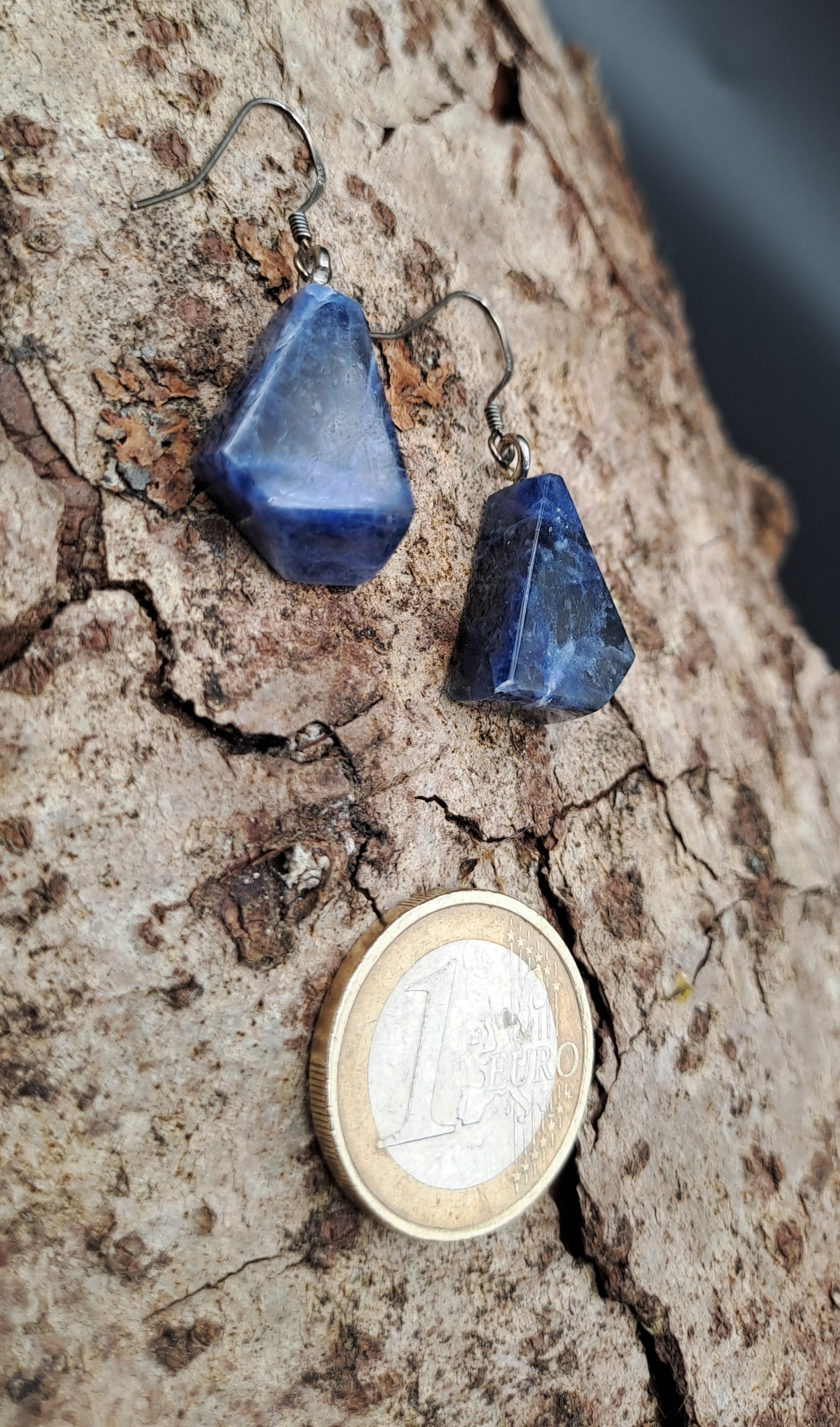 Boucles D'oreilles en Sodalite